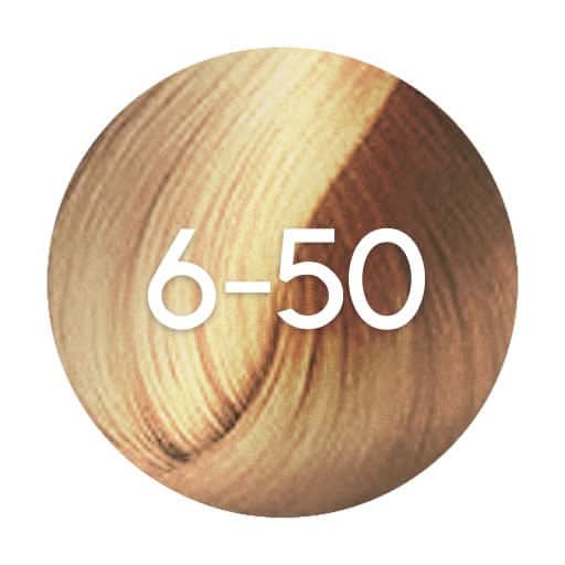 Schwarzkopf Igora Absolutes Permanent Hair Colour - 60ml - Image 35